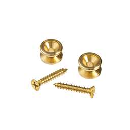 Daddario PWEP302 Brass End Pins
