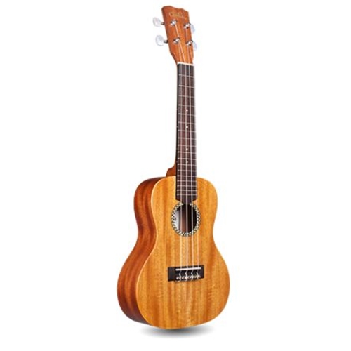 Cordoba 20TM Tenor Ukulele | informacionpublica.svet.gob.gt