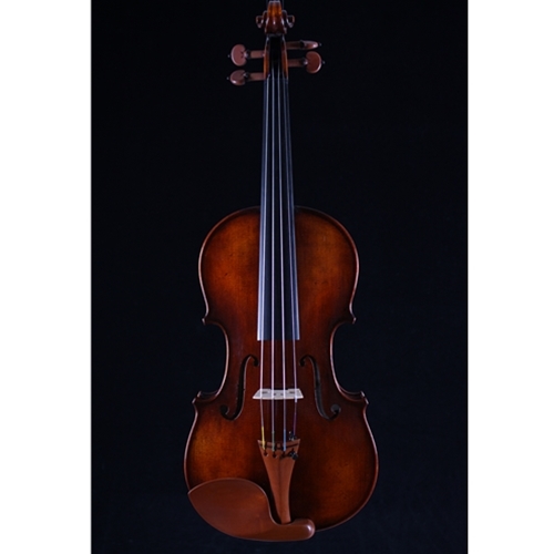 Eastman VL305 3/4 Violin Outfit - Eastman